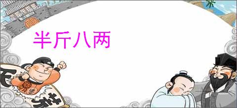 半斤八两