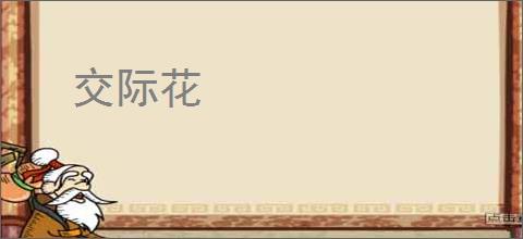 交际花