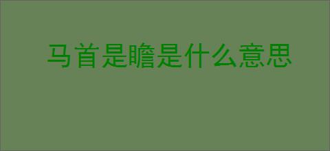马首是瞻是什么意思