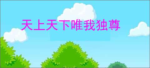 天上天下唯我独尊