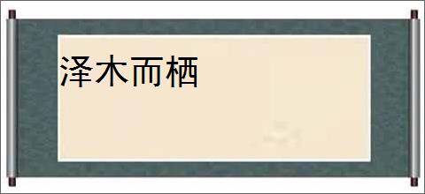 泽木而栖