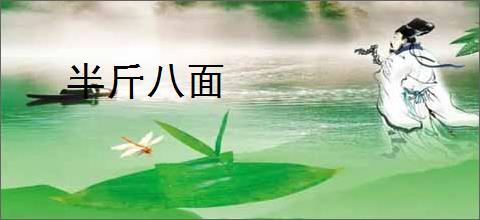 半斤八面
