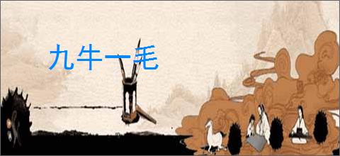 九牛一毛