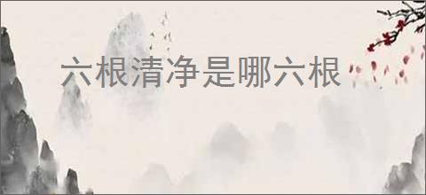 六根清净是哪六根
