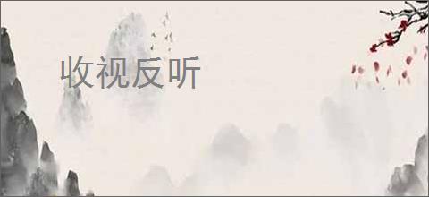收视反听