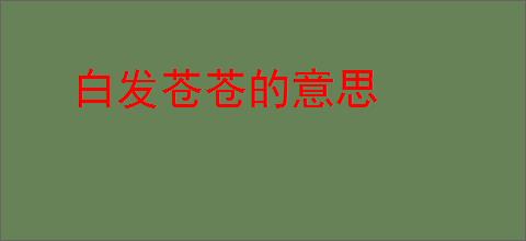 白发苍苍的意思