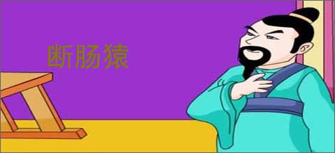 断肠猿