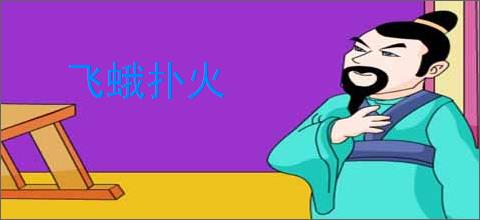 飞蛾扑火