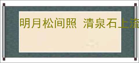 明月松间照 清泉石上流
