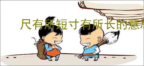 尺有所短寸有所长的意思