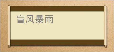 盲风暴雨