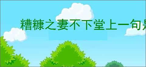 糟糠之妻不下堂上一句是什么