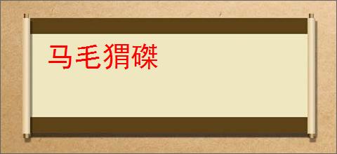 马毛猬磔