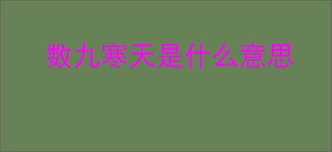 数九寒天是什么意思